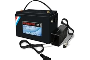 DEESPAEK Batería de 12V 100 Ah LiFePO4, 100A BMS, batería de Litio Recargable hasta 7000 Veces de Ciclo Profundo, para Sistema Solar, RV, Barco, hogar, Camper