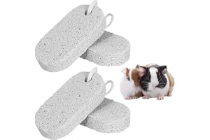 OIXEYA 4 stycken kaninlava, små djur, hamsterspel, tuggleksaker för chinchilla, marsvin, råttor