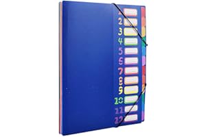 VIQWYIC Erweiternde Dateiordner A4 Briefgröße, 24 Taschen Kunststoff Akkordeon Dokument Veranstalter bunte Dateiordner für Schule Bürobedarf (Blau)