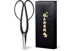 Wazakura Japan Tijeras de Podar Bonsái Ashinaga- Acero al Carbón (200 mm), Herramienta de Jardinería Japonesa 100% Hecha en Japón