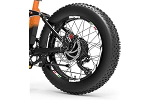 DualColorStampe Adesivi Cerchi Bici FAT BIKE 20'' Pollici Ruota Bici accessori Fat bike MTB Stickers Cerchi BANDIERA ITALIANA ITALIA - B0135 (Bianco Lucido)