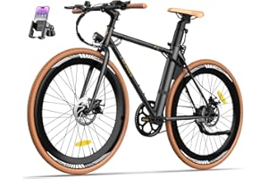 Fafrees F1 Bicicleta eléctrica, 250W Bicicleta de Carretera Eléctrica, Batería de 36 V 10 Ah, Neumáticos 700C * 38C Neumáticos, 25 km/h, Alcance 40-70 KM, Unisex Adulto Bicicleta Urbana Eléctrica