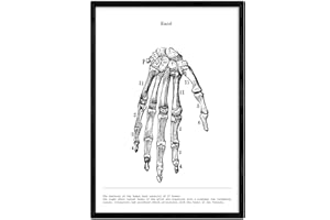 Nacnic Poster Anatomia in Bianco e Nero con Immagini del Corpo Umano. Stampe su biologia e Medicina con Dettagli Mano. Dimensione A4. con Marco.