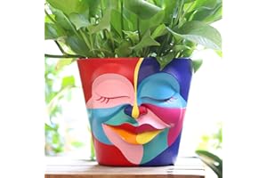 GUGUGO Pot de fleurs abstrait avec tête de graffiti arc-en-ciel avec drainage, pots de fleurs pour plantes d'intérieur, petit vase de bureau unique et amusant pour les amateurs de plantes, D (20,3 cm)