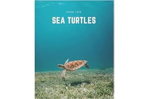 Sea Turtles: A Decorative Book │ Perfect for Stacking on Coffee Tables & Bookshelves │ Customized Interior Design & Home Decor: A Decorative Book ... Design & Home Decor (Ocean Life Book Series)