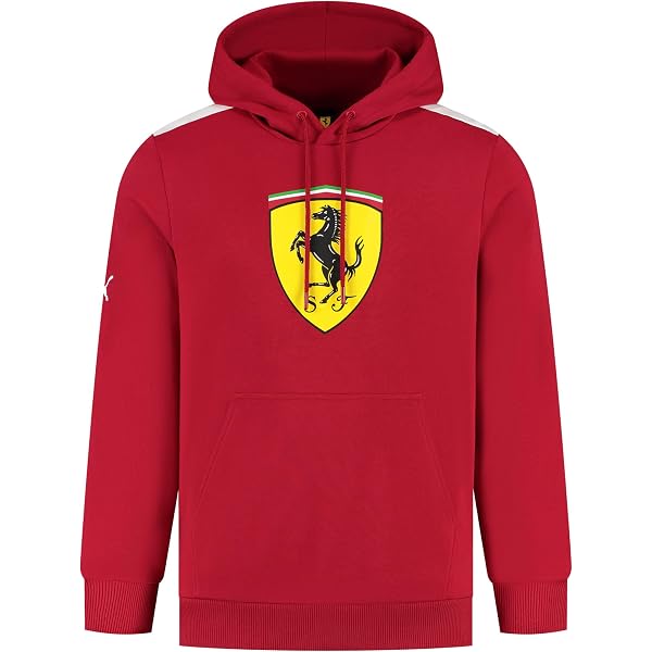 Felpa con zip corta Team Scuderia Ferrari HP 2025 da uomo