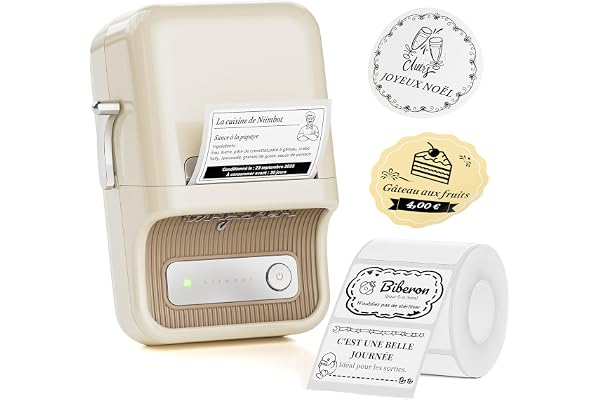 NIIMBOT B21 Mini Etiqueteuse Thermique Inkless, Compatible avec iOS et Android, pour la Maison, l'entreprise, Imprimante d'étiquettes pour le Codes Barres et QR, avec 1 Rouleau Ruban adhésif 50x 30 mm