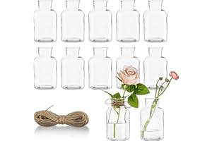 12 Stück kleine Vasen für Tischdeko 125ml Mini Glasvasen Set mit Juteschnur Vintage Design Exquisit Transparent Blumenvasen für Tischdeko Zuhause Hochzeiten Geburtstage Feste