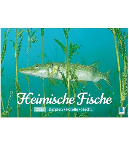 Angeln Adventskalender 2026 Angelköder Set – 24 Tage Weihnachts Countdown für männer mit einzigartigem Angelzubehör – Premium Weihnachtsüberraschung Köder-Geschenk für Vater, Opa, Bruder, Freund