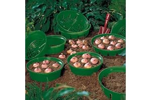 THOMPSON & MORGAN Bulb Basket for Easy Bulb Planting and Lifting Leaving No Stray Bulbs Ideal for any Bulbs 15 x Bulb Baskets by Thompson and Morgan