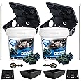 SISI UK Rat Mouse Block Bait Block Tub Rat Poisoning Bait Rodent Control Single Feed Mice Killing Sachets for Home & Garden Treatment 2 x 300g Sapphire Tubs with 2 Rodent Bait Boxes
