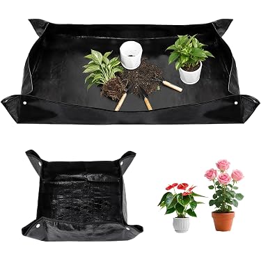 Amazon.de Neuerscheinungen: Die beliebtesten Neuheiten in Untersetzer fr  Blumen & Pflanzen