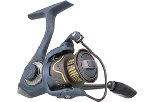 Pflueger President Spinning Fishing Reel
