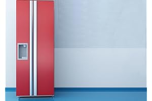 INDIGOS UG Pellicola adesiva per proteggere le pareti, opaca, 48 colori e 4 dimensioni a scelta, 00-trasparente, 63 cm