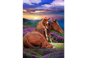 DAERLE 5D Diamond Painting kit Completo, Pittura Diamante 5D Fai Da Te, Cavallo Diamond Painting, Cavalli graziosi Pittura Diamante, Craft Arts per Decorazione della Parete di Casa 30x40cm