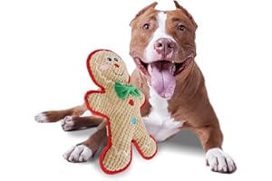 ALL FOR PAWS AFP MerryTough Buddy Lebkuchenmann Weihnachtshundspielzeug, Plüsch mit hartem Liner, Squeaker, Kauschutz, kleine Hunde