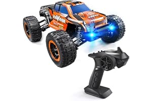 Loolinn | Macchina Telecomandata - Molto Resistente, Scala 1:16, Velocità Regolabile, Adatta per il Fuori-strada, Massima Velocità 30 km/h, Pronta all’uso - Regalo di Natale per Ragazzi e Adulti