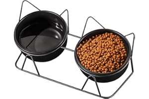 Vyuwast Cat Bowl 2 Pack, Raised Kitten Bowl with Stand 15°Tilted Double Ceramic Angled Cat Water Food Bowl Feeding Station Anti Vomiting No Spill Pet Bowls for Whisker Fatigue Kitten Small Dog
