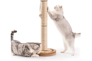 MEWOOFUN Cat Scratching Post, 60cm Tall Cat Tree Scratching Posts for Indoor Cats with Hanging Ball, Kitten Toys Cat Ball Track, Natural Sisal Rope Scratcher Interactive Toy for Adult Cats