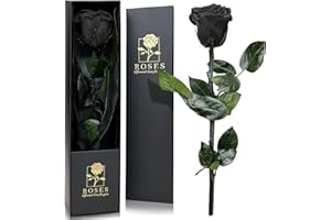 QHHENTOO Infinity Rose in Geschenkbox, Ewige Rose mit Stiel Geschenke für Frauen Echte Rosen Eine Konservierte Blume für Mama Damen Freundin zum Geburtstag Valentinstag Weihnachten Muttertag - Schwarz