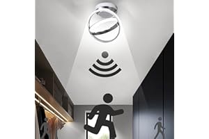EIDEARAY LED Ceiling Light with Motion Sensor Indoor 30 W Cool White 6000 K Ceiling Light, 24 x 25 x 15 cm Sensor Lamp, Suitable for Hallways, Garages, Basements, Carports, Staircases (Silver)