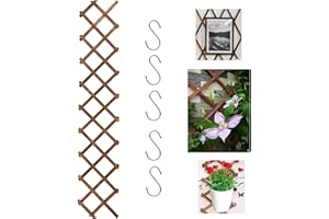 KAZITOO Garten-Rankgitter aus Holz, erweiterbarer Pflanzenzaun mit 5 S-Haken, Faltbarer Hängerahmen, Rankgitter für Kletterranken, hängender Blumentopf (0.9 cm dick, karbonisierte Farbe)