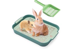 APOMOONS Taca toalety, kuweta dla królików, mała kuweta dla zwierząt, zająca i świnie morskie (zielona)