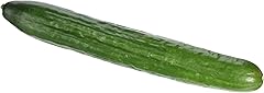 Suncrop Produce Cucumber Each