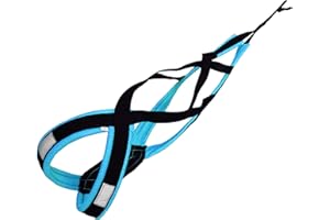 LASALINE Harnais de Traction pour Chien, x-Back Harnais canicross, Harnais Chien Velo, Harnais cani VTT, Harnais Chien de traineau - Noir Bleu Clair