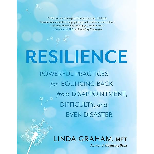 The Resilience Toolkit Powerful Practices For Bouncing Back From Disappointment Difficulty And Even Disaster Amazon Co Uk Linda Graham 9781608685363 Books