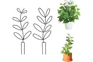 HELWEET Rankhilfe für Zimmerpflanzen, Garten Pflanzenstütze Rankhilfe, Blumenstütze Gitterspalier, 2 Stück Topfpflanzen Rankgitter, Pflanzkübel Pflanzenkäfige, Kletterhilfe für Pflanzen, Pflanzgitter
