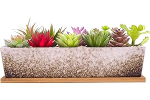 ARTKETTY 30cm Ceramic Succulent Plant Pots, Modern Long Rectangle Flower Plant Containers with Tray, Shallow Cactus Bonsai Window Box with Drainage for Indoor/Outdoor Home Decor(White)
