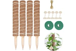 AIQII 4 Stück 40cm Moosstab Pflanzstab Monstera Rankhilfe mit 10 Pflanzschilder,2 Rollen Klett Kabelbinder und 2 m Jute Schnur für Pflanzenname Pflanzzeit Haus Garten Pflanzenunterstützung