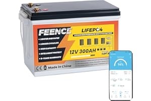 FEENCE Batteria LiFePO4 300 Ah 12 V, batteria al litio 3840 Wh con BMS 200 A, max. 15000 cicli, perfetta sostituzione per camper, impianto solare, barca, kit pannello solare, campeggio