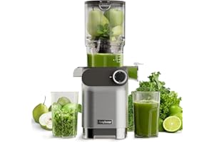 Anybear Entsafter 200W Slow Juicer mit 110 mm großem Einfüllschacht für ganze Früchte/Gemüse | Upgraded Schnecke | Tritan-Material | BPA-frei | Inkl. Saftrezepte (Silber)