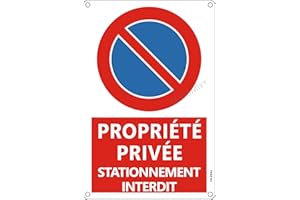 AERHIMIY Panneau Stationnement Interdit Propriété Privée Aluminium Réfléchissant 20×30 cm, 1 Pièce Pancarte Propriété Privée Défense de Stationner Metal, Résistant aux UV, Imperméable, Avec Trous Percés