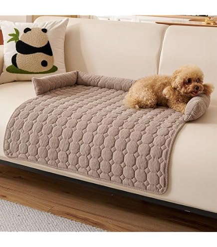 ASHLUYAK Kreatives Prinzessinnen-Bett aus Spitze fr Haustiere, Nest mit  Rschen fr Hunde und Katzen, Plsch, weich und bequem, Sofa, Prinzessin,  Mbel fr Haustiere : Amazon.de: Haustier
