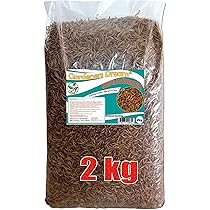 Feeders & More Mehlwürmer Lebend 250g - Futter Für Reptilien, Vögel & Angelköder
