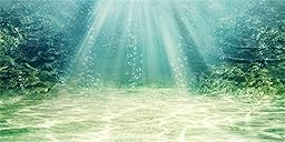 MIRRORANG 91x41cm Aquarium Hintergrund Wasserpflanze Blase Unterwasser Ozean Boden Fisch Tank Poster Hintergrund Vinyl Hintergrund
