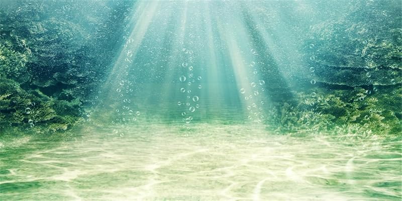 MIRRORANG 91x41cm Aquarium Hintergrund Wasserpflanze Blase Unterwasser Ozean Boden Fisch Tank Poster Hintergrund Vinyl Hintergrund