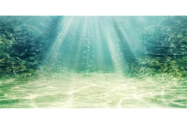 MIRRORANG 120x50cm Fond d'aquarium Plante Aquatique Bulle sous-Marine océan Plancher Aquarium Affiche Toile de Fond Vinyle Fond