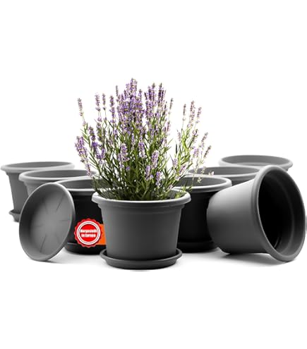 Pickup bord rond diameter 30 cm - Verbodsbord algemeen