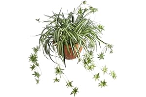 Laelfe 2 Pcs Plantas Araña Artificiales Decorativas, Planta de Araña Artificial para Decoración de Interiores, Exteriores y Jardines (23.6in)