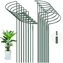 6 Stück Halbrunde Metall-Pflanzenstützen, 21x35 Cm – Grün Beschichtet, Für Rosen, Tomaten, Pfingstrosen & Mehr