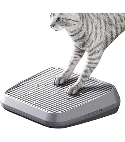 Katzentoilette Rampe Mit Filterfunktion - Katzenklo Treppe Zur Streureinigung 32x16x4cm