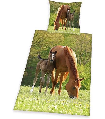 DACRWEKZ Pferde-Motiv Bettwäsche Set - Weiche Mikrofaser Bettwaren Mit Reißverschluss, 2-teilig 135×200 Cm + Kissenbezug 80x80 Cm