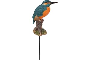 Vivid Arts Plant Pals – Kingfisher Plant PAL (plp-104)