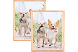 WEIKANI Cornice per foto A3, 2 pezzi, 29,7 x 42 cm, in legno di quercia, cornice per certificati, per montaggio a parete o da tavolo, set di 2