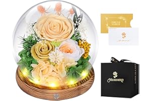 MAMAMIKO Rosa Eternas en Cúpula de Crista, LED, Rosa Preservada por 5 años, Flores Eternas, Ideas Rosas Naturales Regalos para Mujer, Mamá, Novia, Día de la Madre, Día de San Valentín, Aniversario(Champán)