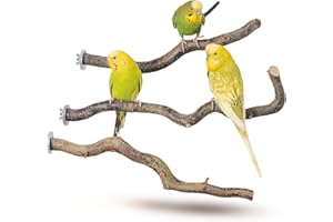 Vogelgaleria® 3 Sitzstangen für Wellensittiche Naturholz Sitzstangen Wellensittich Zubehör Vogel Zubehör